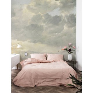 WP-206 Wall Mural Golden Age Clouds 1