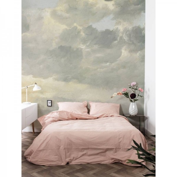 WP-216 Wall Mural Golden Age Clouds 1