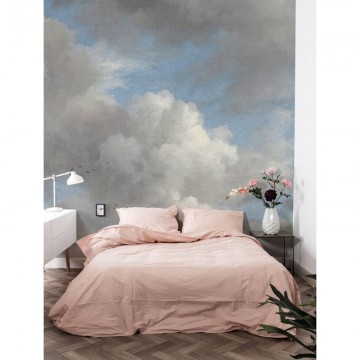WP-392 Wall Mural Golden Age Clouds