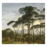 WP-384 Wall Mural Golden Age Landscapes