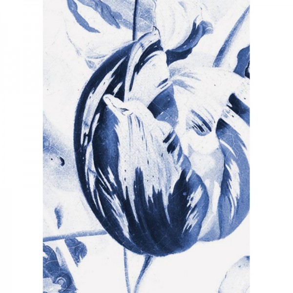 Papel Pintado WP-208 Wall Mural Royal Blue Flowers 2 - KEK AMSTERDAM