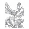 WP-329 Wall Mural Engraved Flowers