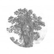 SC-013 Wallpaper Circle Engraved Tree