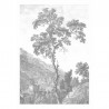 WP-312 Wall Mural Engraved Landscapes