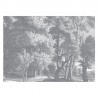 WP-647 Wall Mural Engraved Landscapes