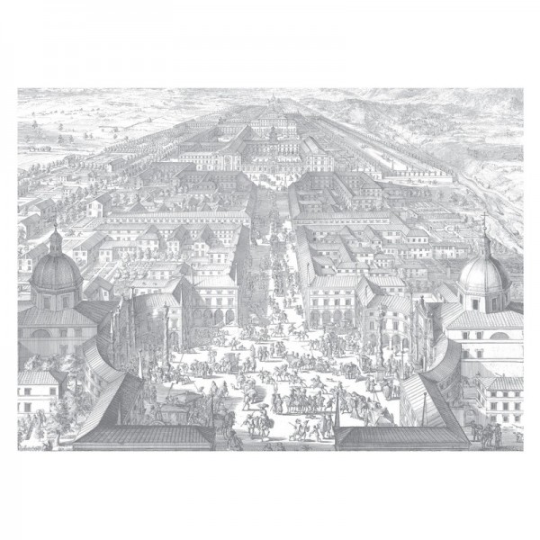 WP-658 Wall Mural Engraved Landscapes
