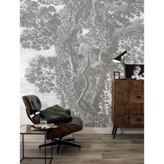 WP-318 Wall Mural Engraved Landscapes