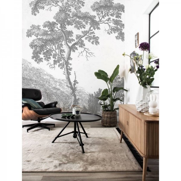 WP-322 Wall Mural Engraved Landscapes