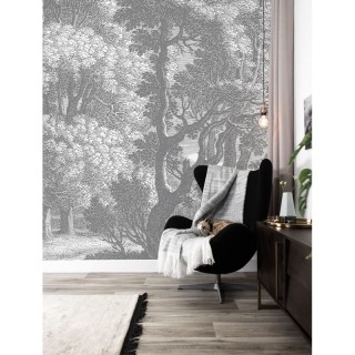 WP-617 Wall Mural Engraved Landscapes