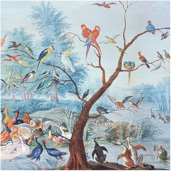 TROPICAL-BIRDS DOM12-10
