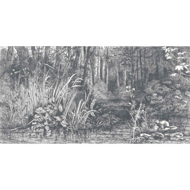 Papel Pintado BUSHY-WOODS DOM1516 - LES DOMINOTIERS