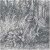 Papel Pintado BUSHY-WOODS DOM1516 - LES DOMINOTIERS