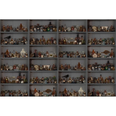 Papel Pintado R14184 Cabinet of Curios, Night - REBEL WALLS