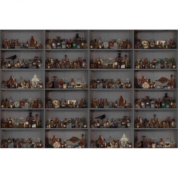Papel Pintado R14184 Cabinet of Curios, Night - REBEL WALLS