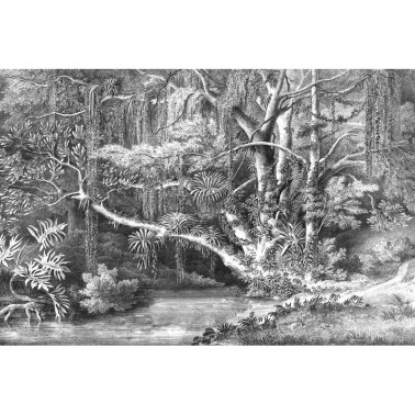 Papel Pintado R16851 Secret Well - REBEL WALLS