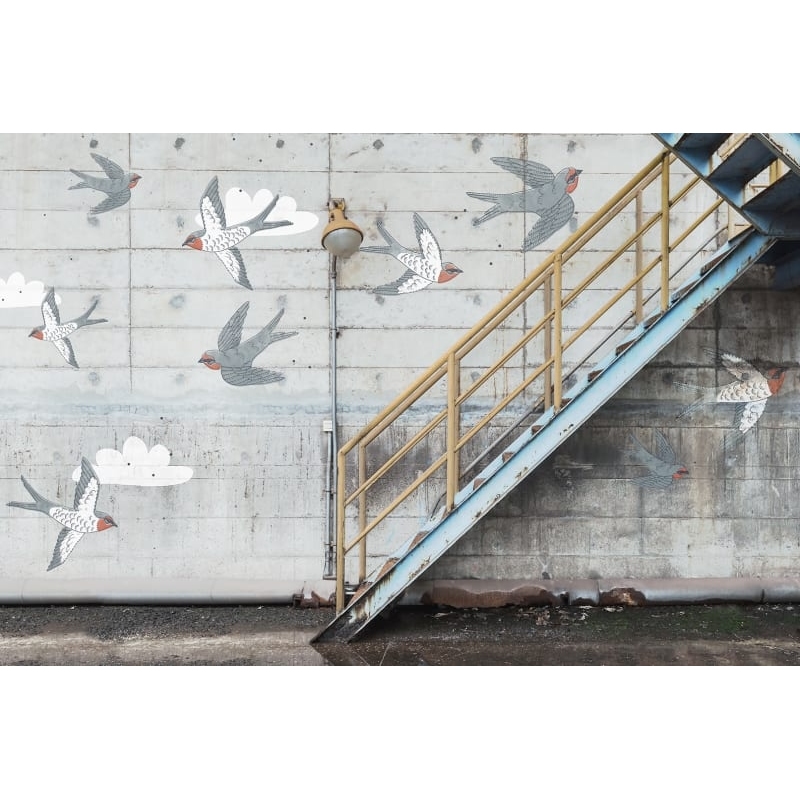 R16962 Stairway Graffiti, Swallow