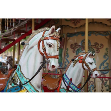 R11881 Carousel