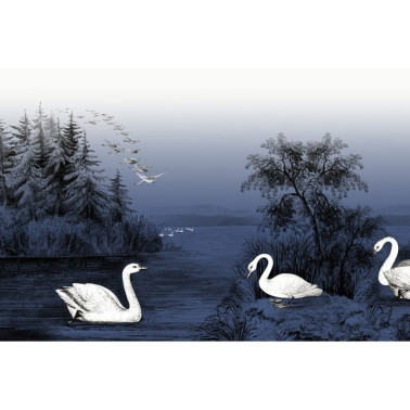 R16222 Swan Lake, Nightfall