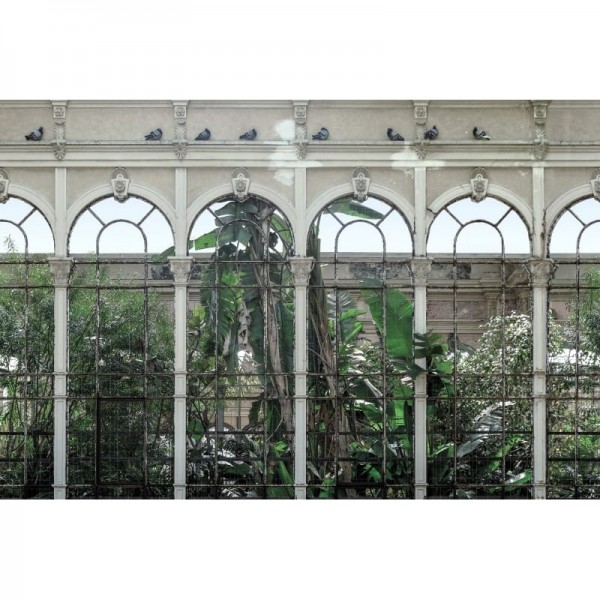 Papel Pintado R16261 Dove Gardens - REBEL WALLS Papel Pintado R16261 Dove Gardens - REBEL WALLS