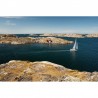 Papel Pintado R16501 Coast Life - REBEL WALLS
