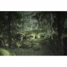 Papel Pintado R16531 Virgin Forest - REBEL WALLS
