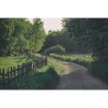 Papel Pintado R16541 Wooden Fence - REBEL WALLS