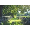 Papel Pintado R16651 Early Summer - REBEL WALLS