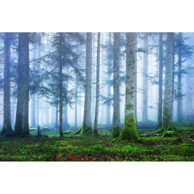 Papel Pintado R16661 Blue Forest - REBEL WALLS
