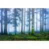 Papel Pintado R16661 Blue Forest - REBEL WALLS