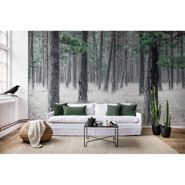 R13711 Pine Forest