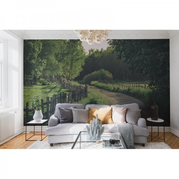 Papel Pintado R16541 Wooden Fence - REBEL WALLS