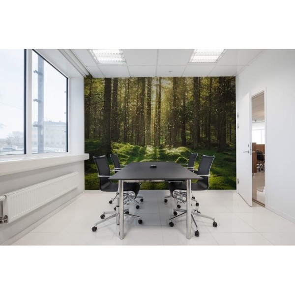 Papel Pintado R16641 Forest Bath - REBEL WALLS