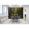 Papel Pintado R16641 Forest Bath - REBEL WALLS
