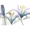 DANDY GL1001B