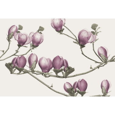 Papel Pintado SOULANGE GL4043B - GLAMORA