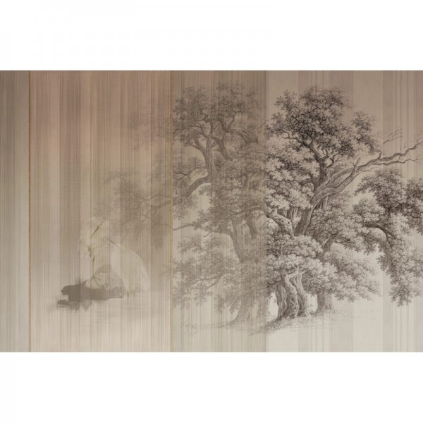 SYCAMORE GLX462A SYCAMORE GLX462A