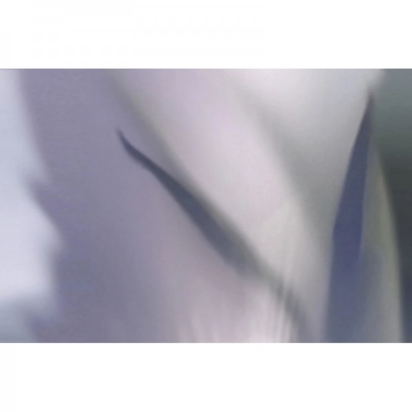 NARCISO GLX122B NARCISO GLX122B