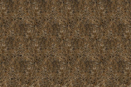 CONVIVIUM GLX361B