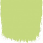 LIME TREE NO. 96 PAINT