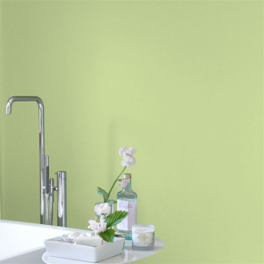 GREEN MELON NO. 102 PAINT