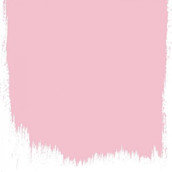 DIANTHUS PINK NO. 132 PAINT