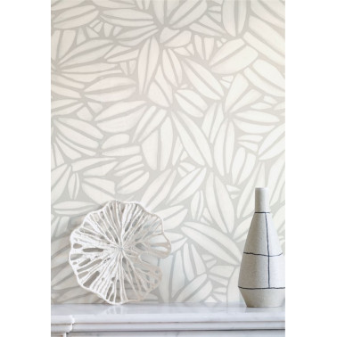 Succulente TP301 01