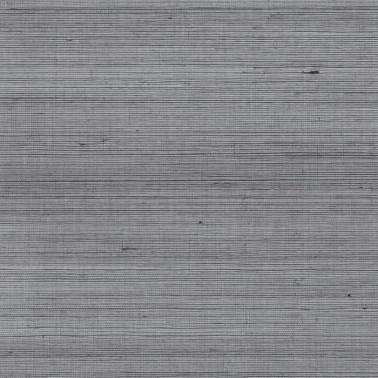 SRA4303