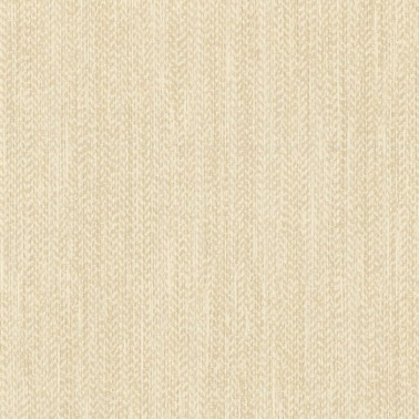 Surf 6441
