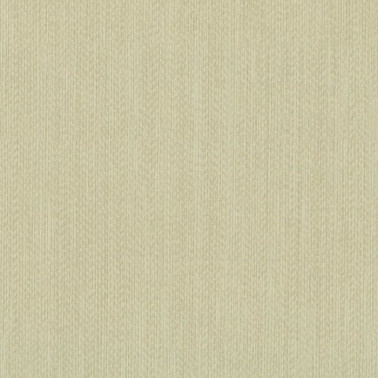 Surf 6444