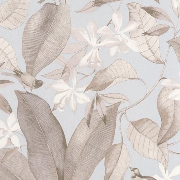 Delicacy Birdsong Bleu Taupe 85382261