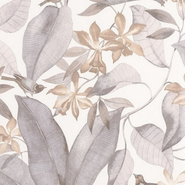 Delicacy Birdsong Taupe Gris 85389242