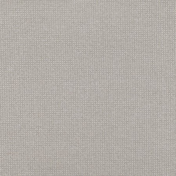 Tantalum Spacedust ZW132-02