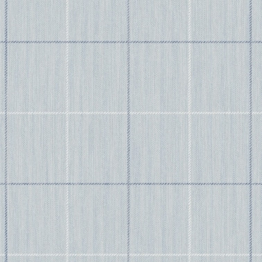 String On Window Pane Check YM30912