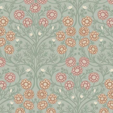 Bellis E-14017
